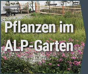 Themen_alp-garten_Grau